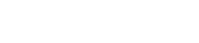 AYO288 logo